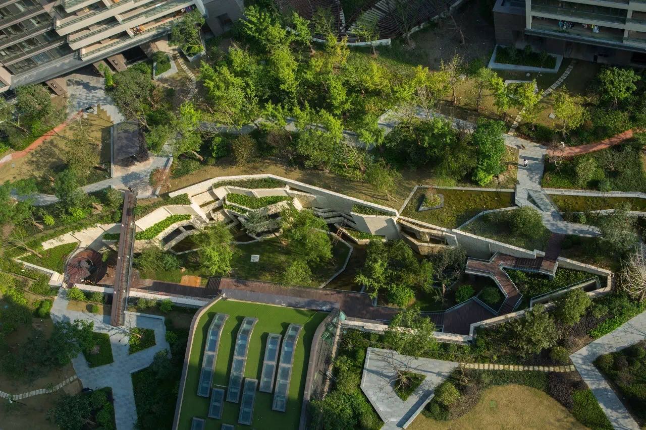 �Ϻ�������³�-�Zͥ