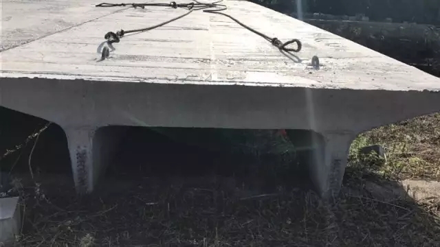 ˫T��˲�����