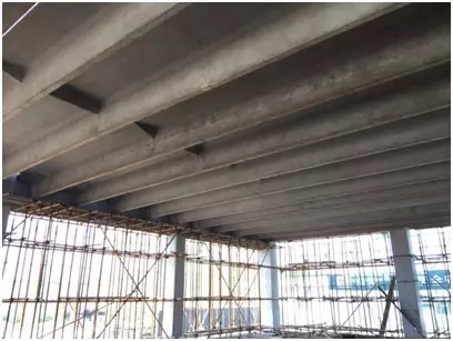 15m��Ԥ��˫T��