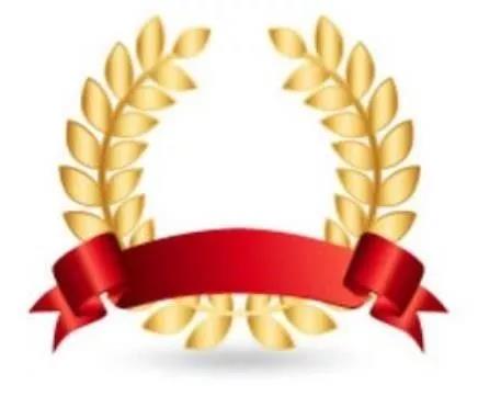 �й���ɫ�޽�������֤