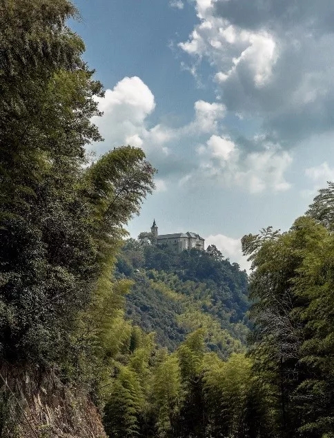 ���ı���ո�µ���Ŀ���޻ع�