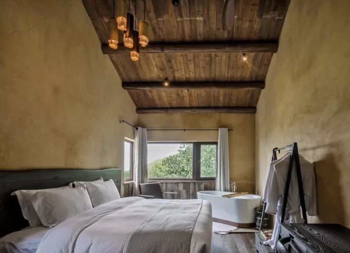 ���ı���ո�µ���Ŀ���޻ع�