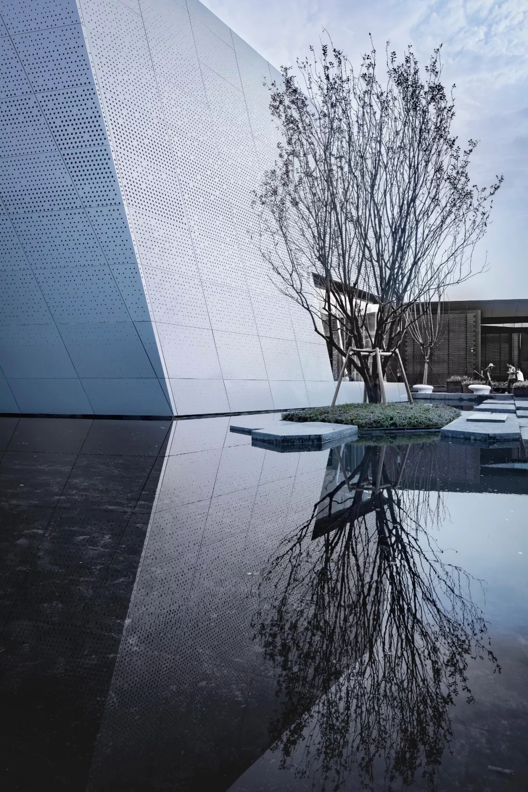 ��ͥԺ byԶ��������XPJ�������