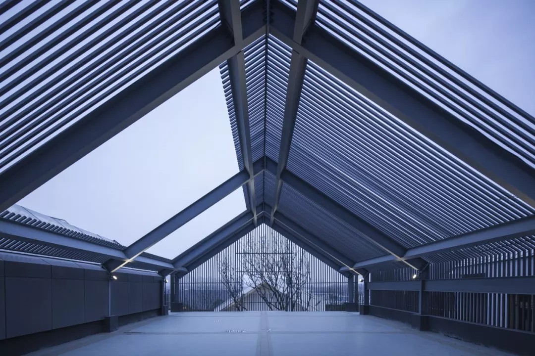 ¶̨°à¼¶»î¶¯Ô°µØ