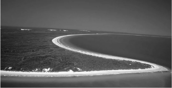 ÌåÏÖº£°¶ÏßµÄÉý³Á¸Ð